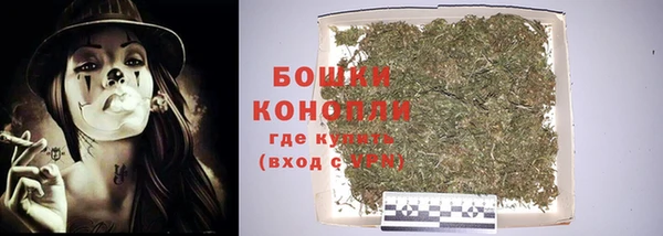 прущие крисы Медвежьегорск